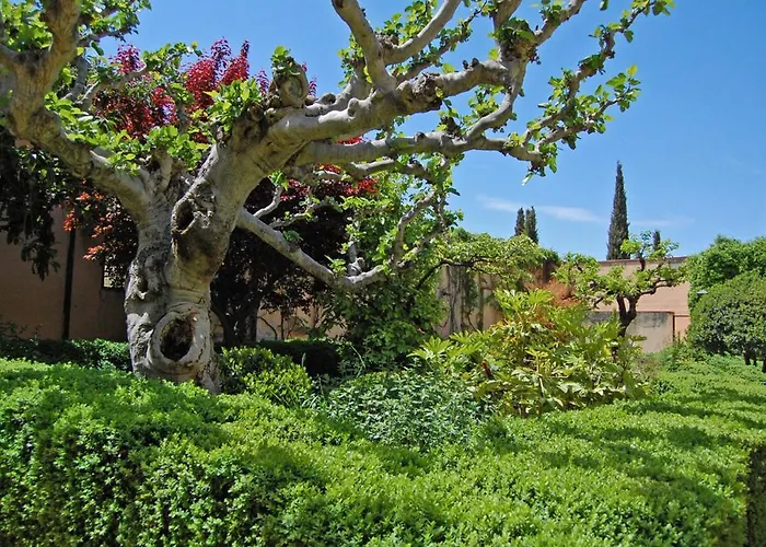 Un Vergel Al Pie De La Alhambra. Enjoy It Now!!